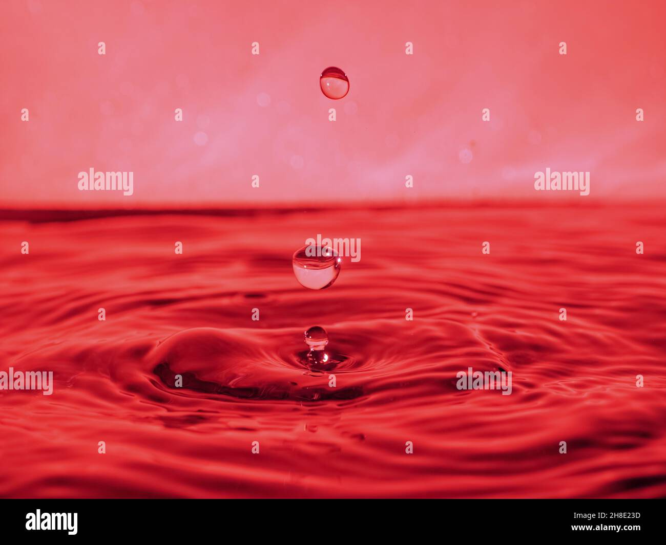 A red drop drips into the water and creates splashes of different shapes, due to the splashes waves are created on the water, the concept of a liquid Stock Photo