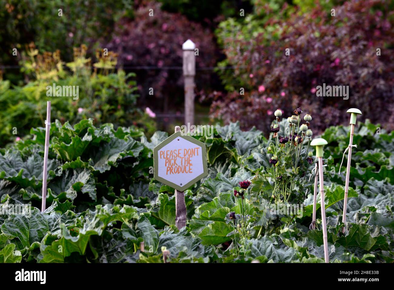 please don't pick the produce sign,signeage,warn,warning,don't pick,do
