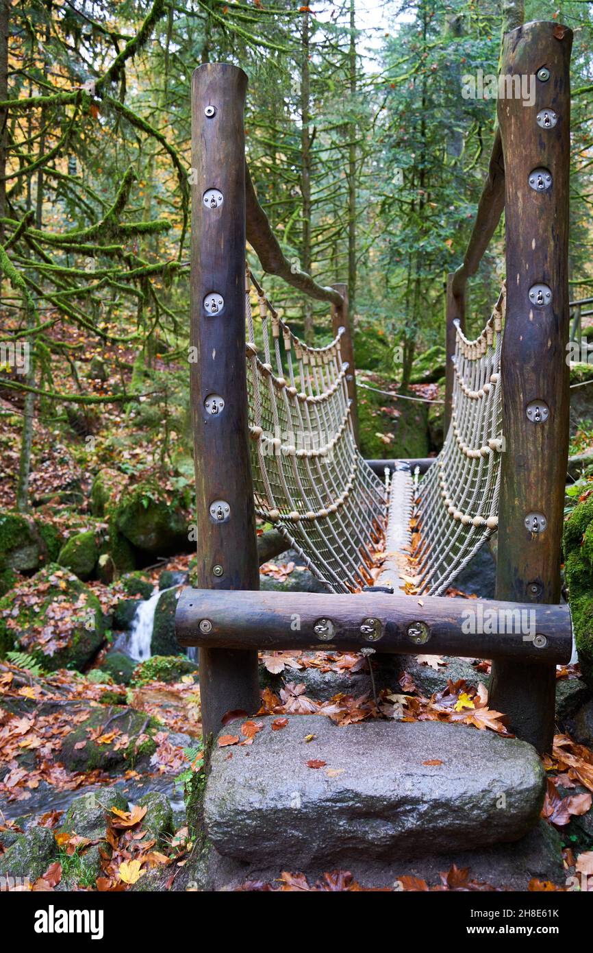 Small suspension bridge (Hängebrücke) in the forest, big stone in the front. Front View. Close up. Stock Photo