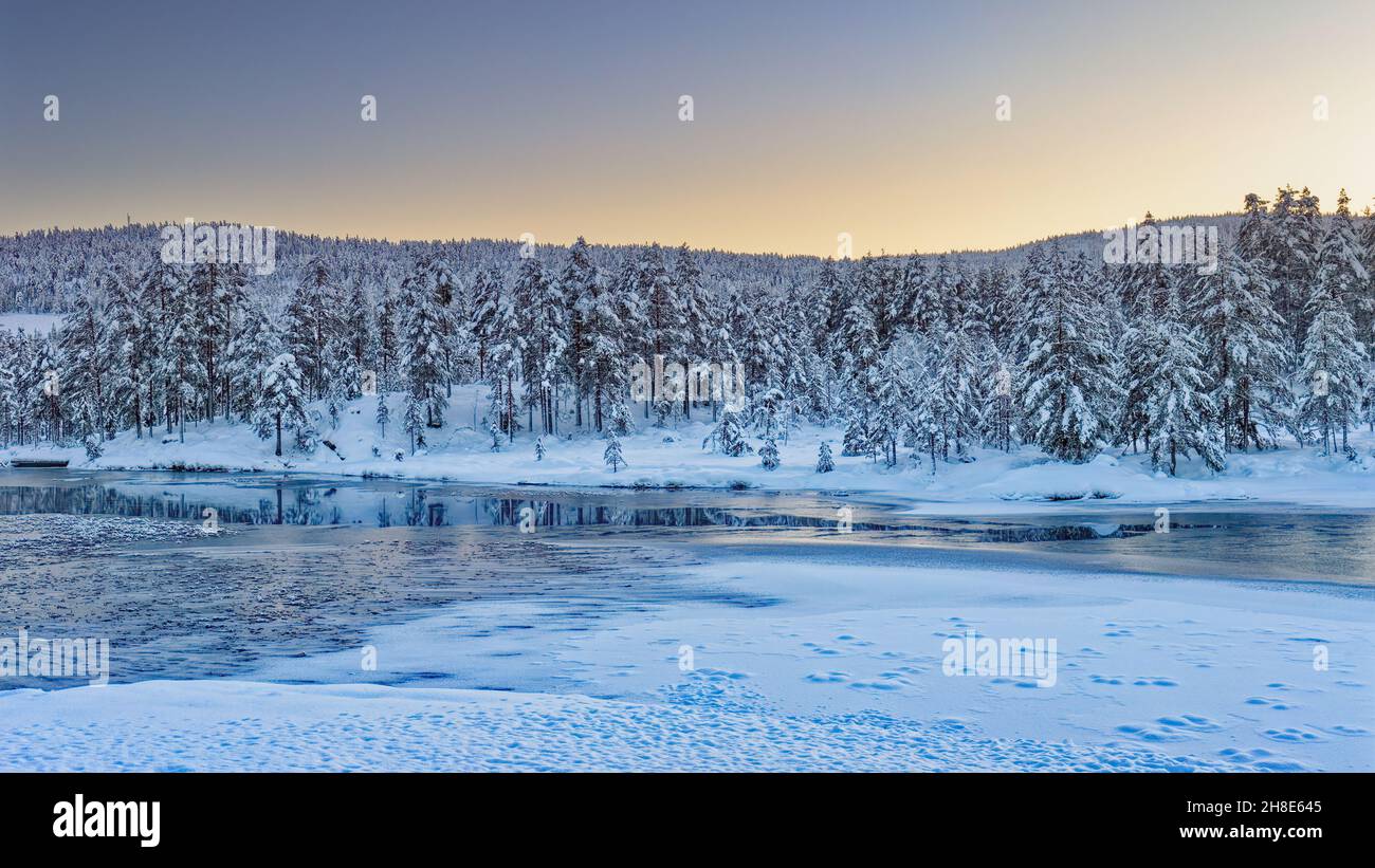 Winter sunset by the frozen river with forest covered snow and sun reflection on water. No people. Norway, Europe. Stock Photo