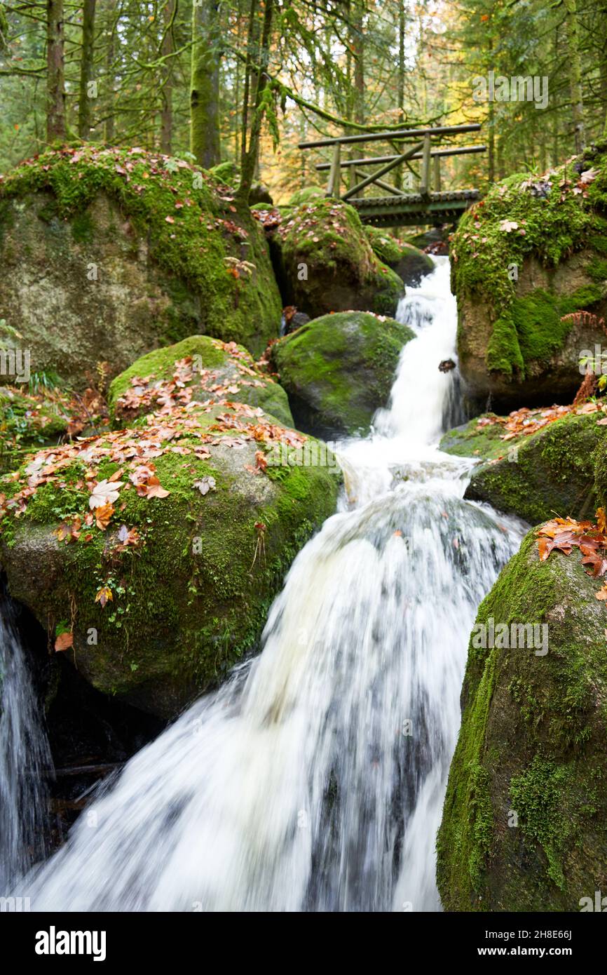 Nice Waterfall in the black forest, small suspension bridge cross the river. Stock Photo