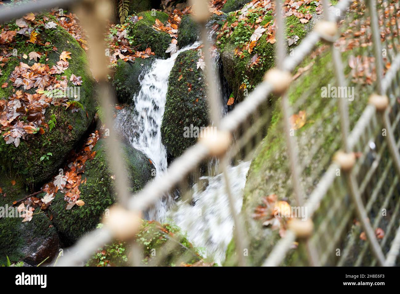 Small waterfall in the Black Forest photographed through a network of ropes. Germany, Blackforest, Gertelbach. Stock Photo
