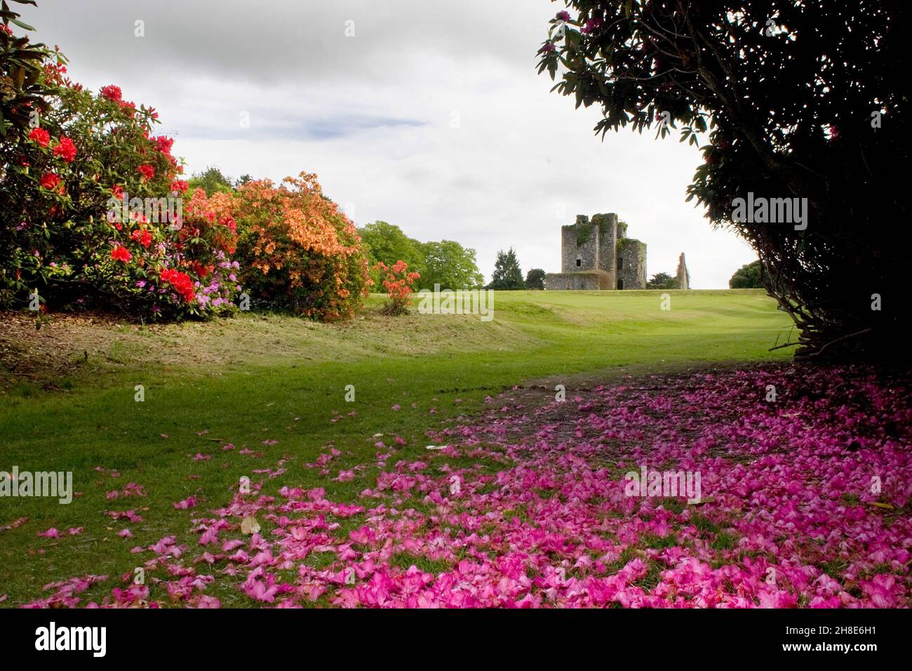 a spring scene at Castle Kennedy and Gardens, Stranraer, Dumfries & Galloway, Scotland Stock Photo