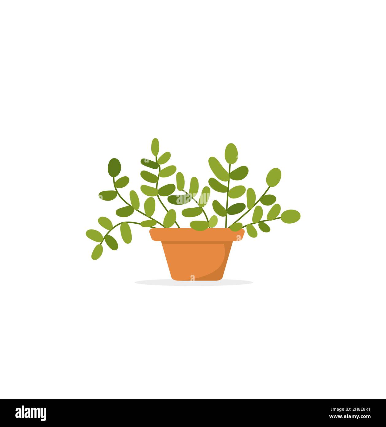 Indoor flower in a pot isolated on white background EPS 10 Stock Vector ...