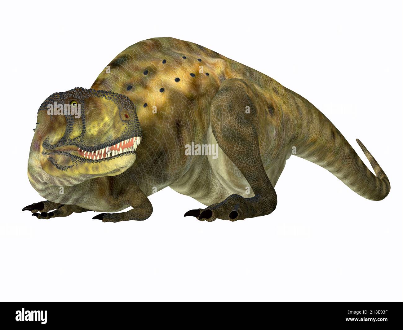 Abelisaurus hi-res stock photography and images - Alamy