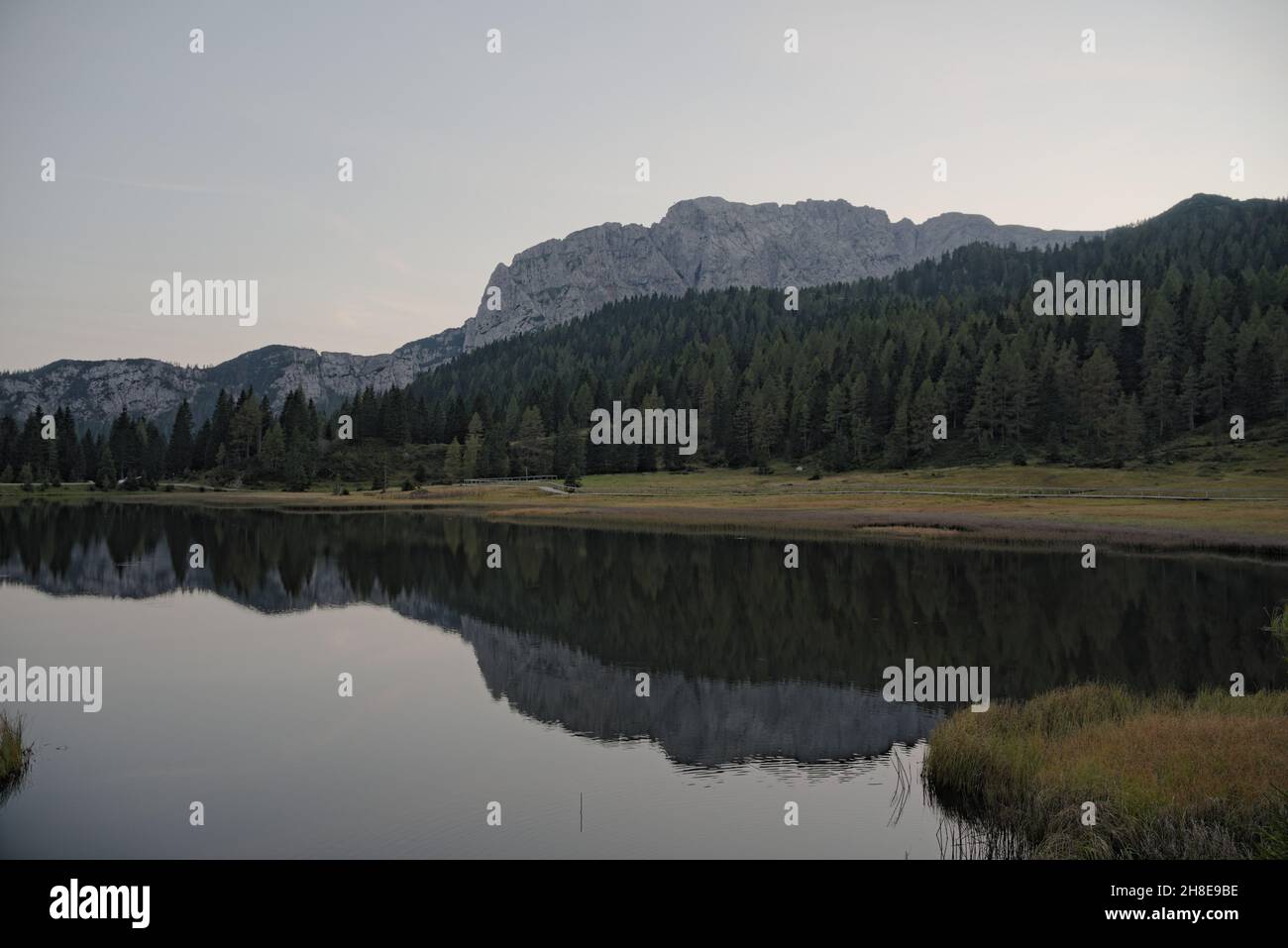 Mountains and trees reflected in the alpine lake Stock Photo - Alamy