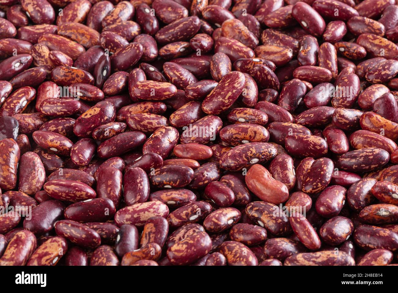 Dried red pinto beans background Stock Photo
