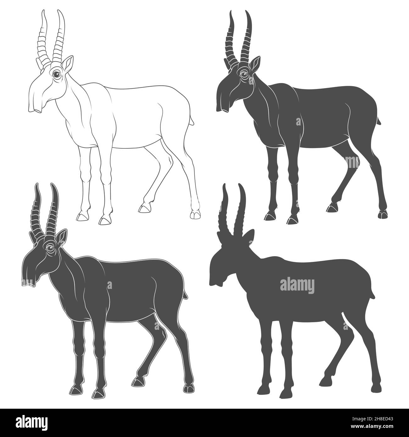 Set of black and white illustrations depicting a saiga antelope. Isolated vector objects on a white background. Stock Vector