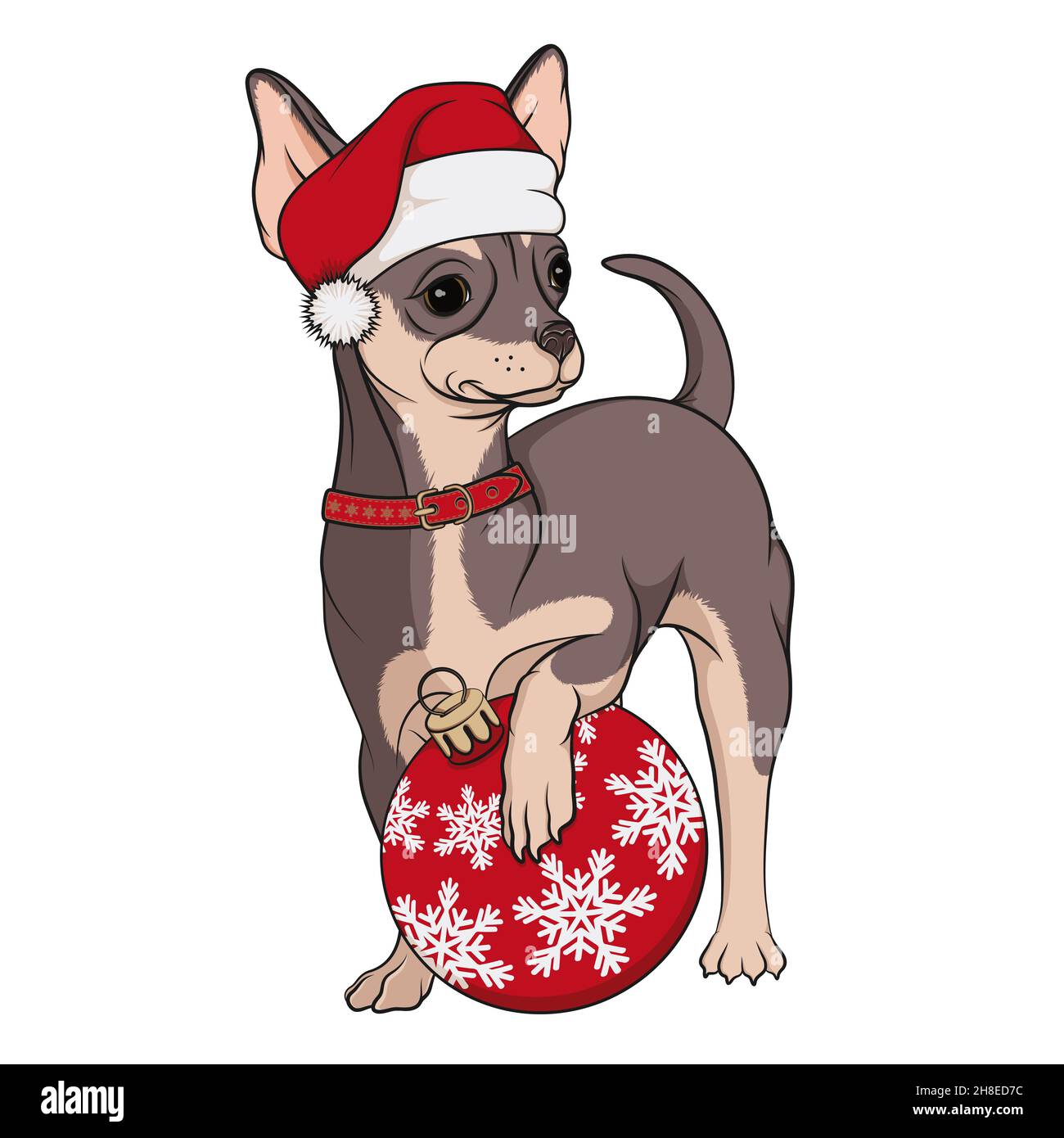brown chihuahua in a red Christmas hat 