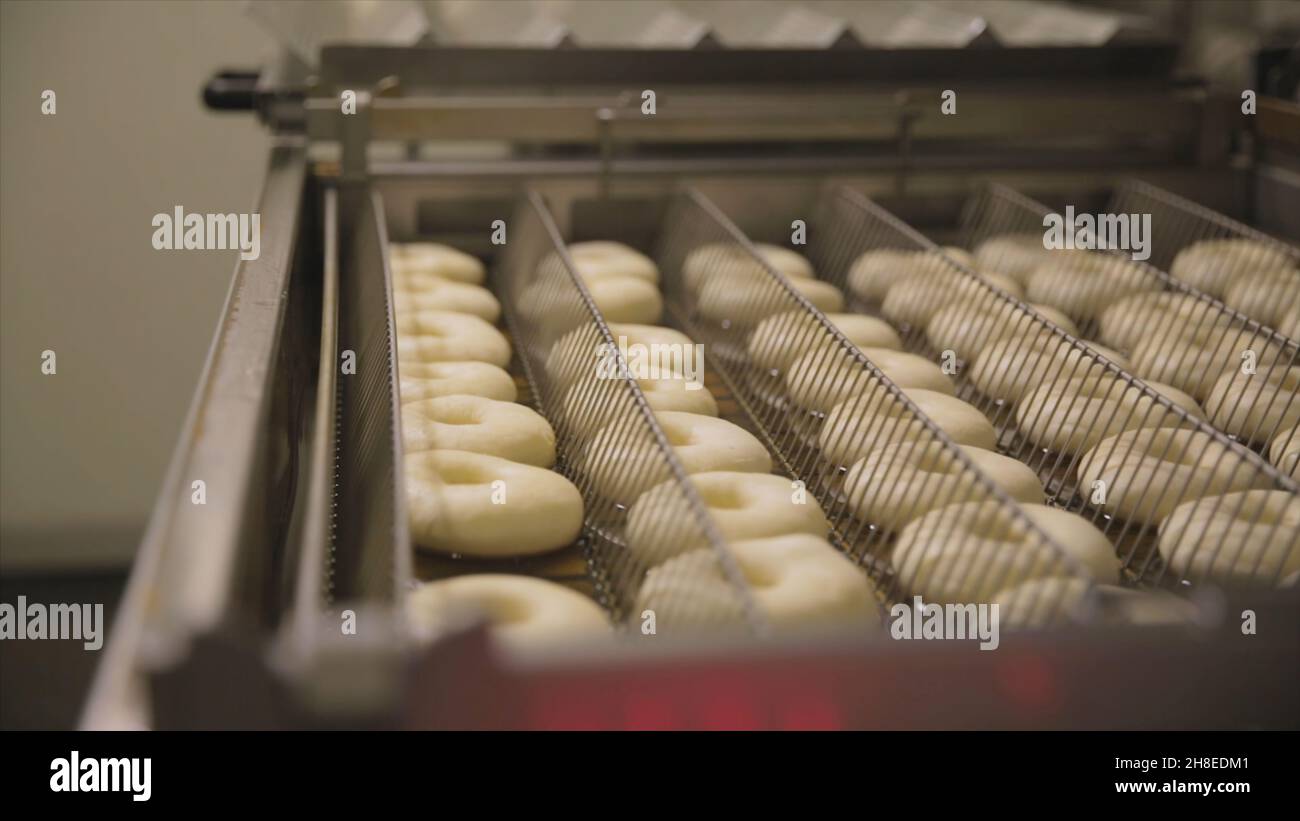 Procedure of making donuts in a small town donut bakery donuts frying