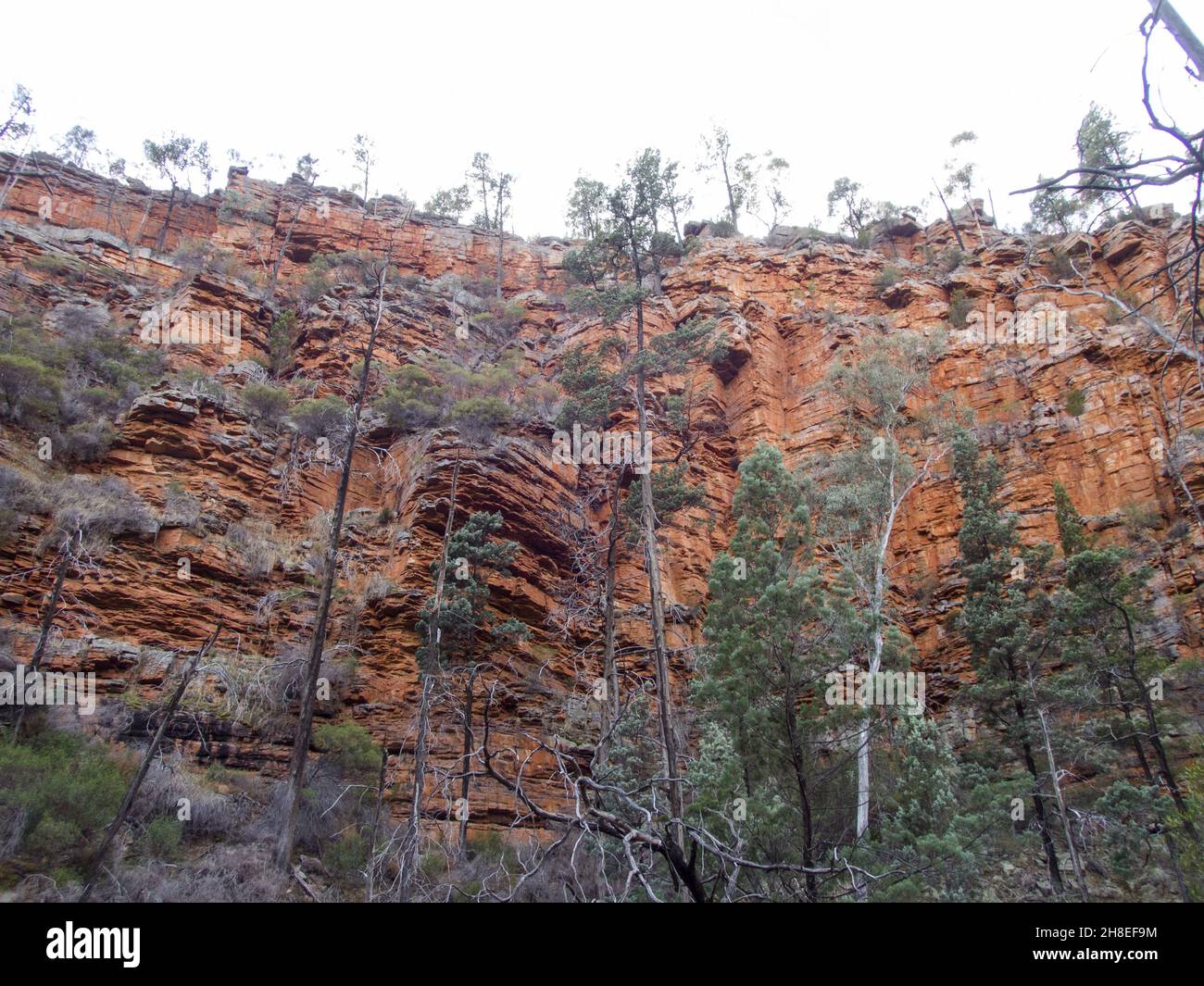 Huge rock trees in hi-res stock photography and images - Alamy