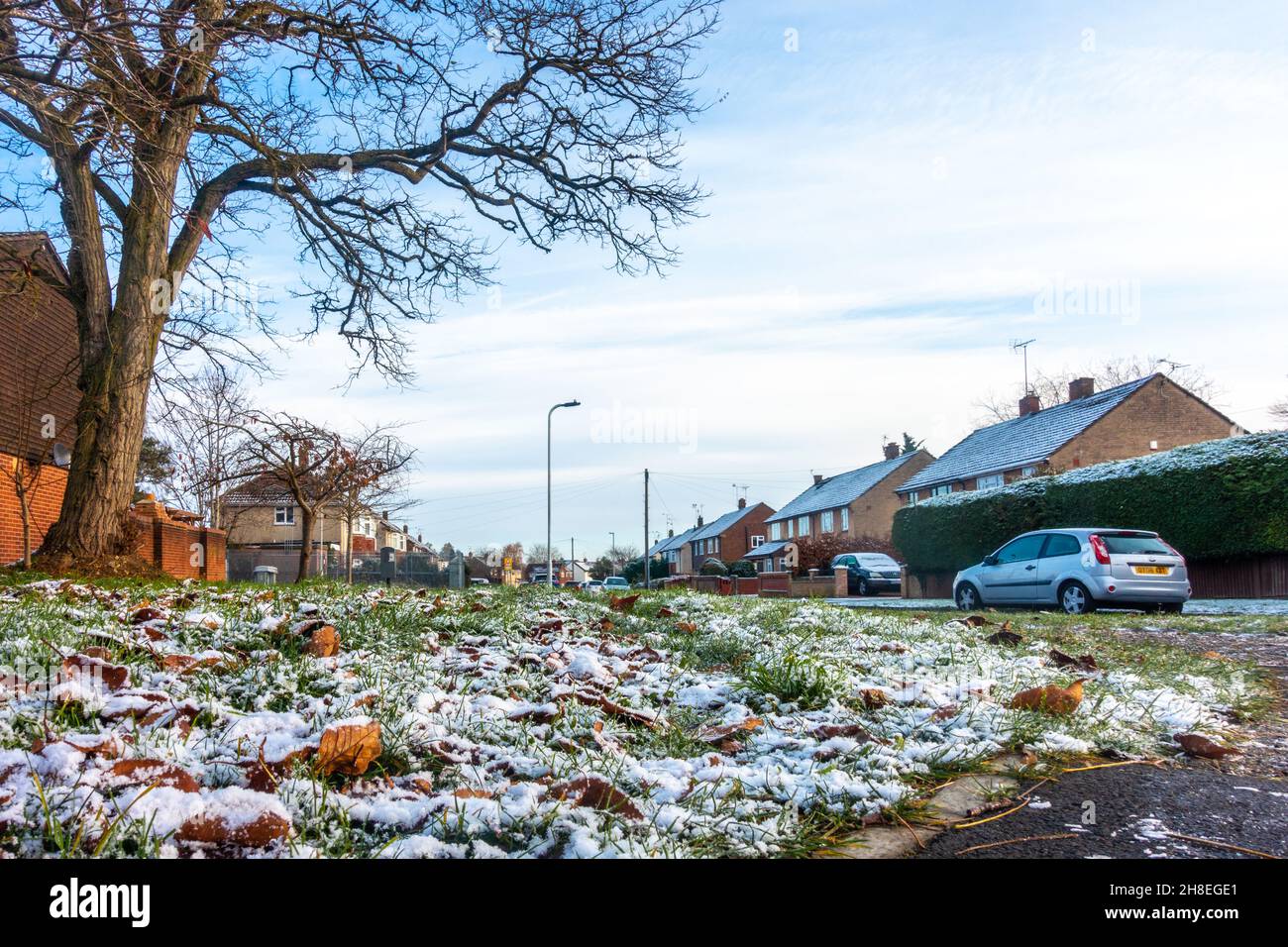 A low angle shot of grass and leaves covered in a light covering of snow in Tilehurst, Reading, UK. Stock Photo