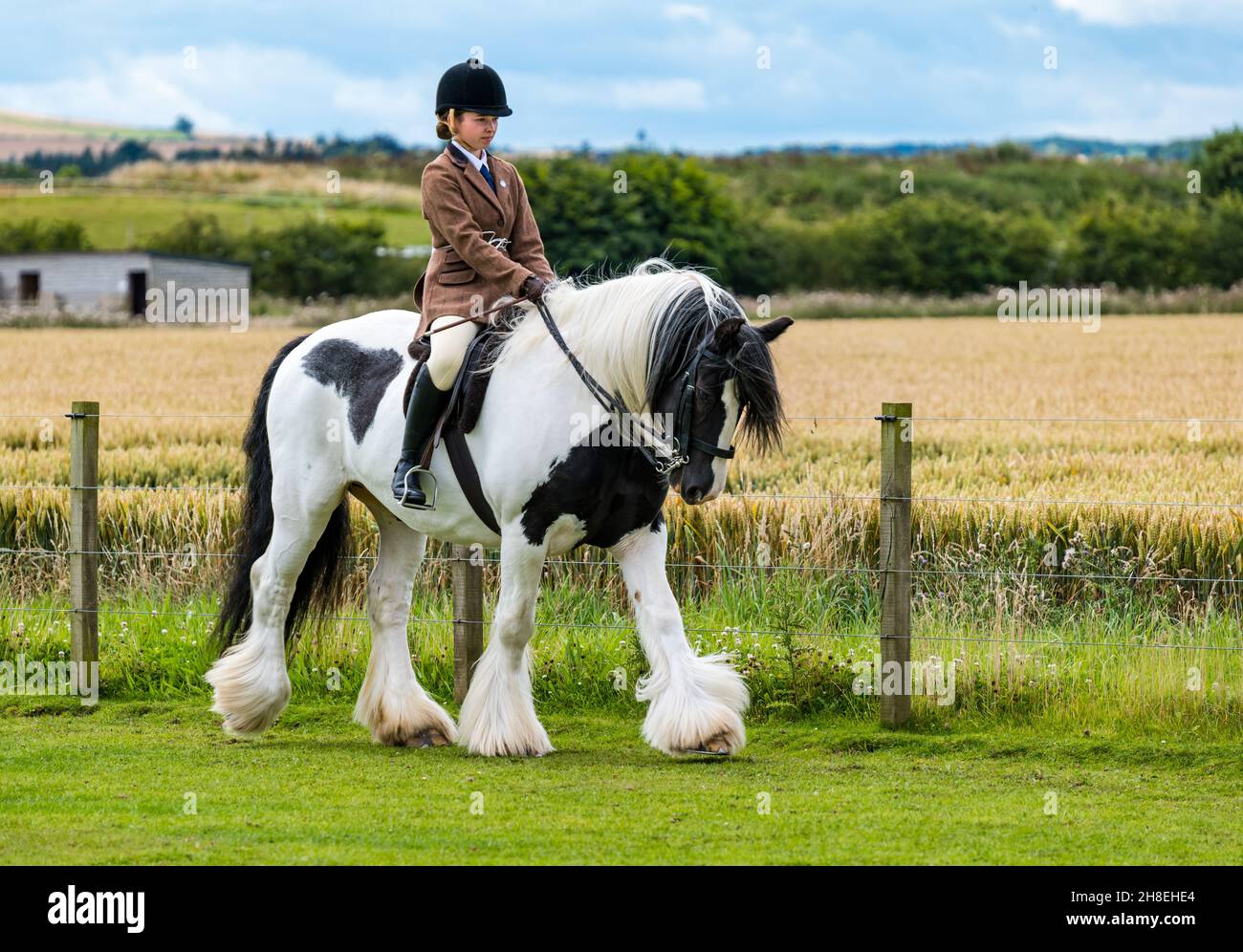 Girl riding horse in field at outdoor Summer horse event, East Lothian, Scotland, UK Stock Photo