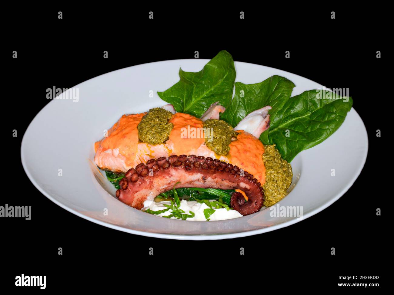 Salmon Stock Photo