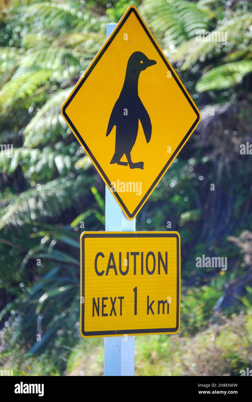 Penguin road sign, Paparoa National Park, West Coast, South Island, New Zealand Stock Photo