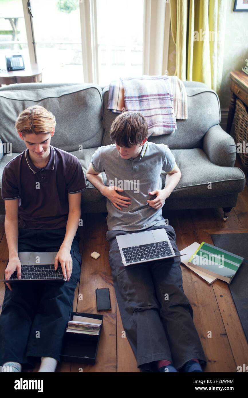 Teenage brothers home schooling at laptops in living room Stock Photo