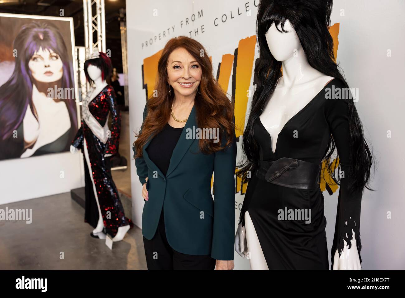 Cassandra peterson elvira hi-res stock photography and images - Alamy