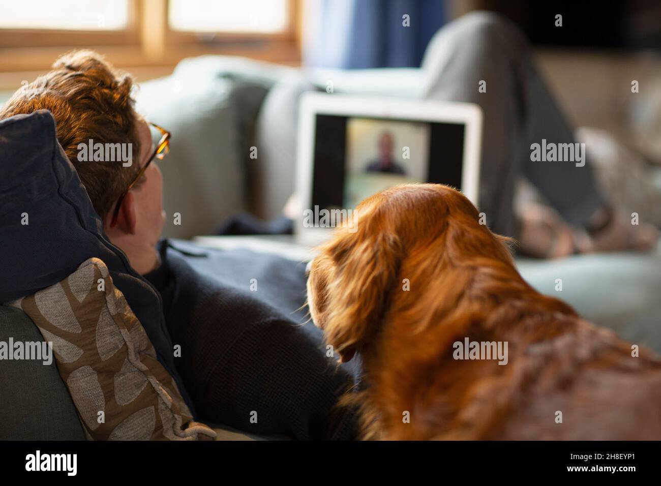Man with dog video chatting with laptop on sofa Stock Photo