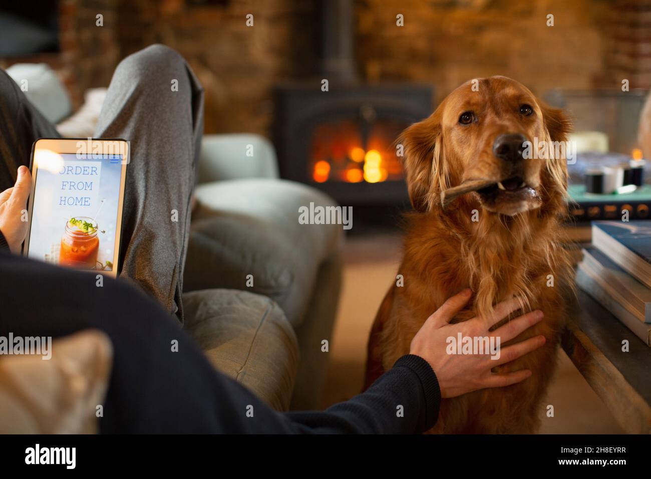Man with dog ordering online takeout on digital tablet Stock Photo