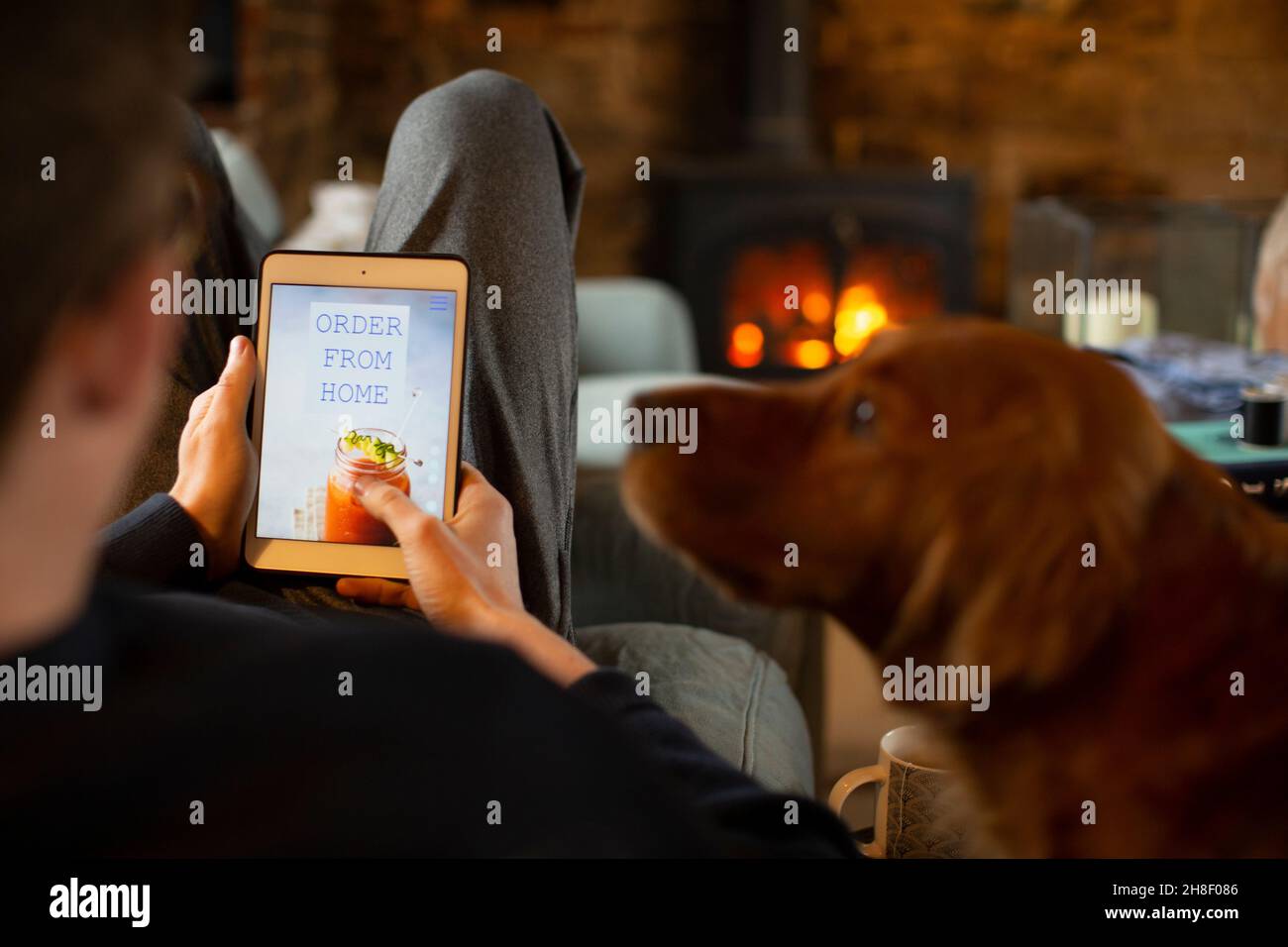 Dog watching man order takeout on digital tablet screen Stock Photo