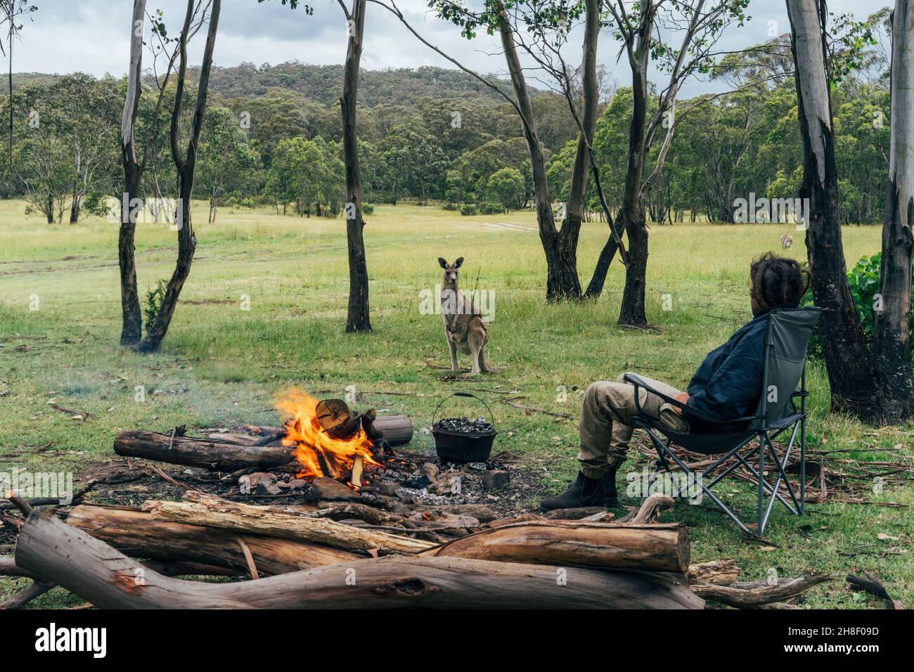 Man at campfire watching kangaroo, Australian bush Stock Photo