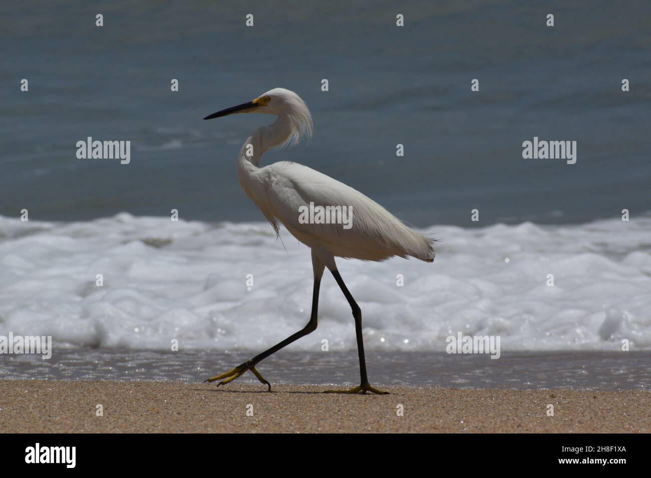 Atlantic across america hi-res stock photography and images - Alamy