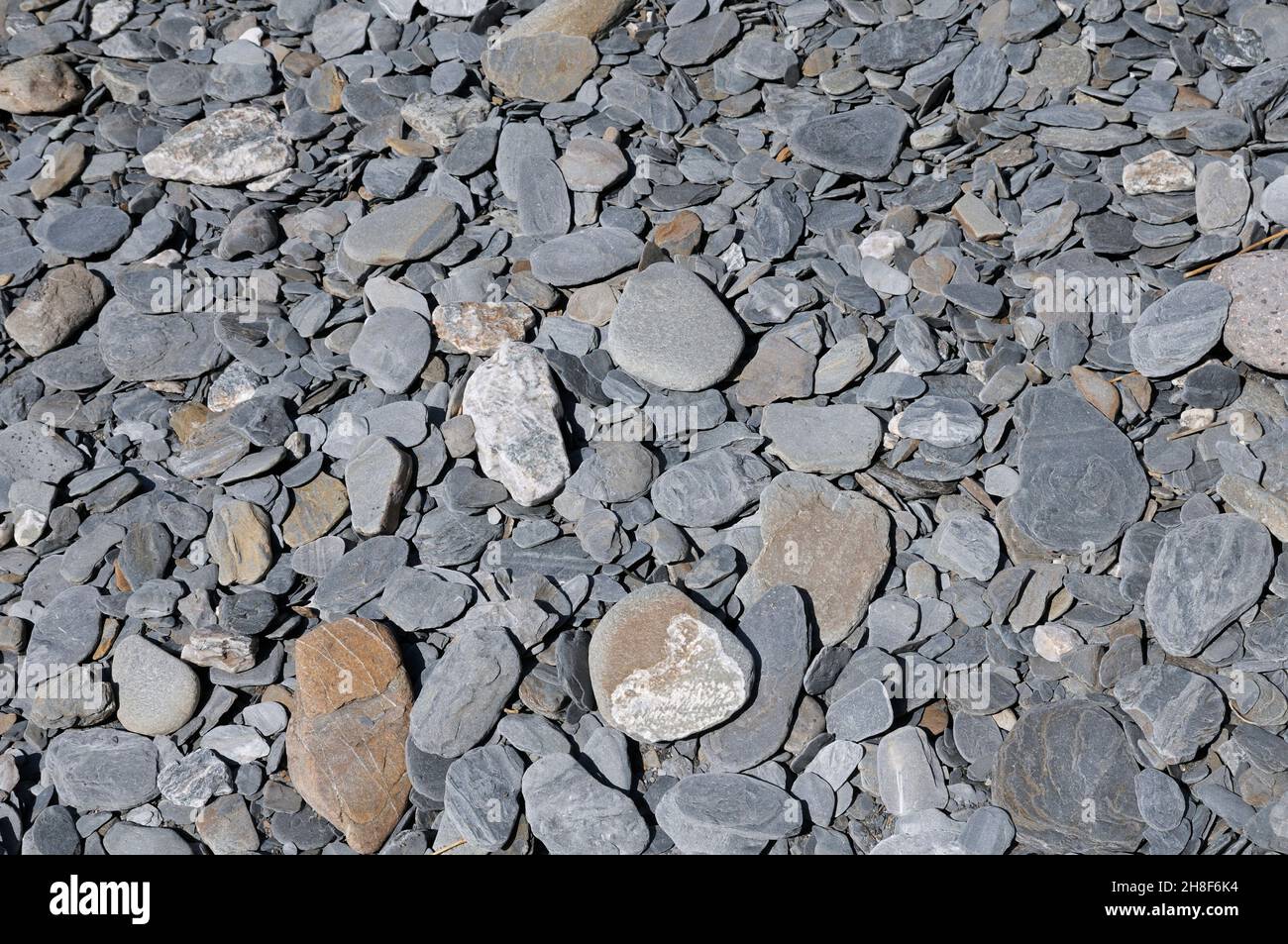 Grey slate stones on a beach Stock Photo