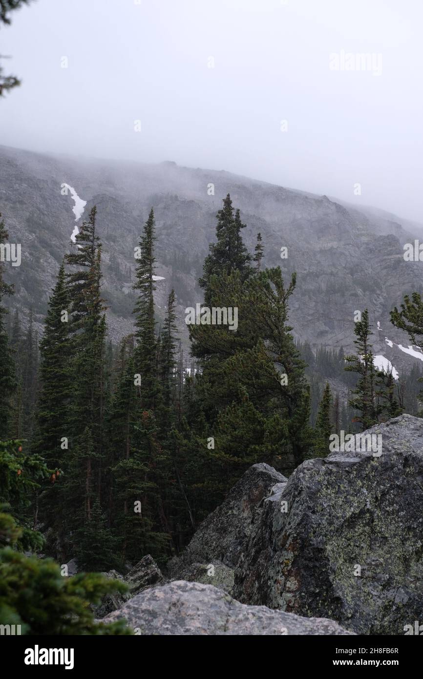 Foggy views in Rocky Mountain National Park, Colorado Stock Photo - Alamy