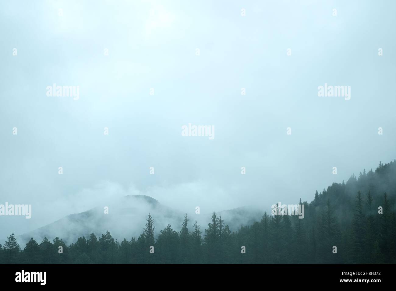 Foggy views in Rocky Mountain National Park, Colorado Stock Photo - Alamy