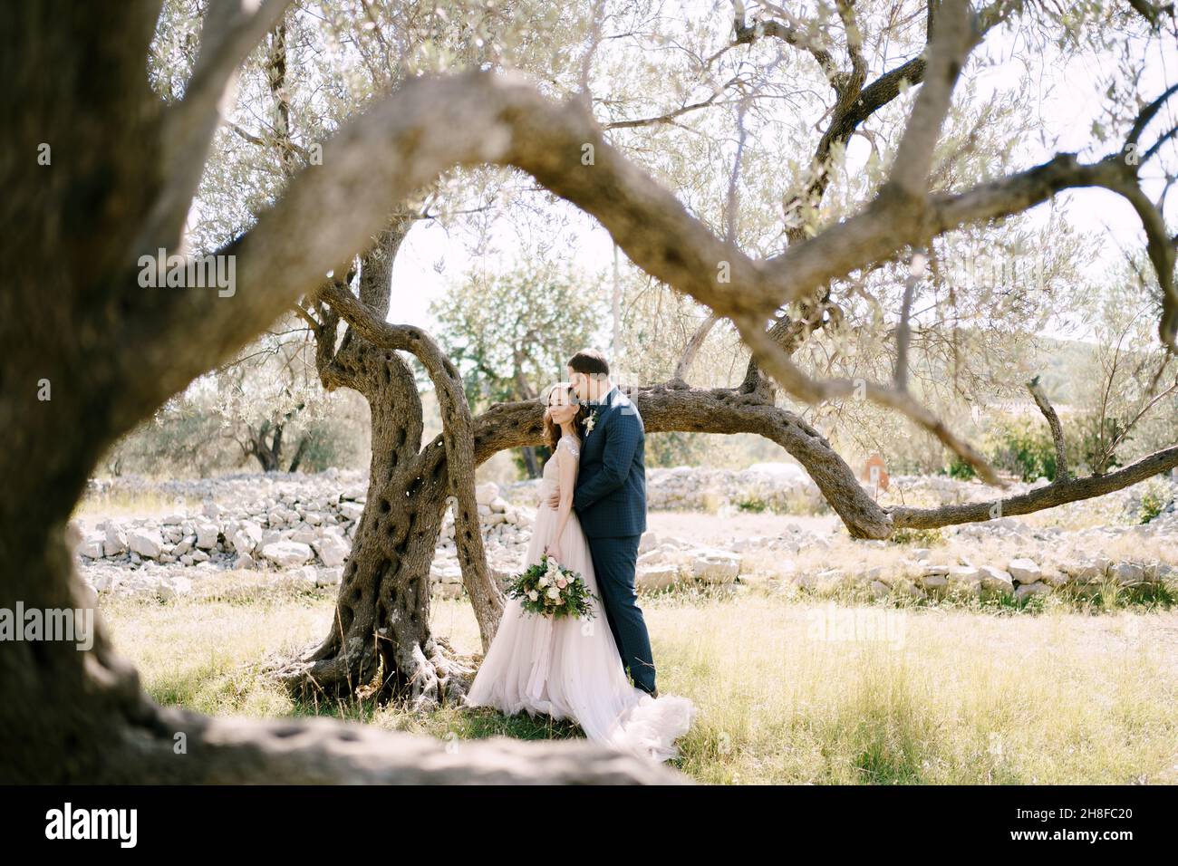 Bride in long grass by tree hi-res stock photography and images - Alamy