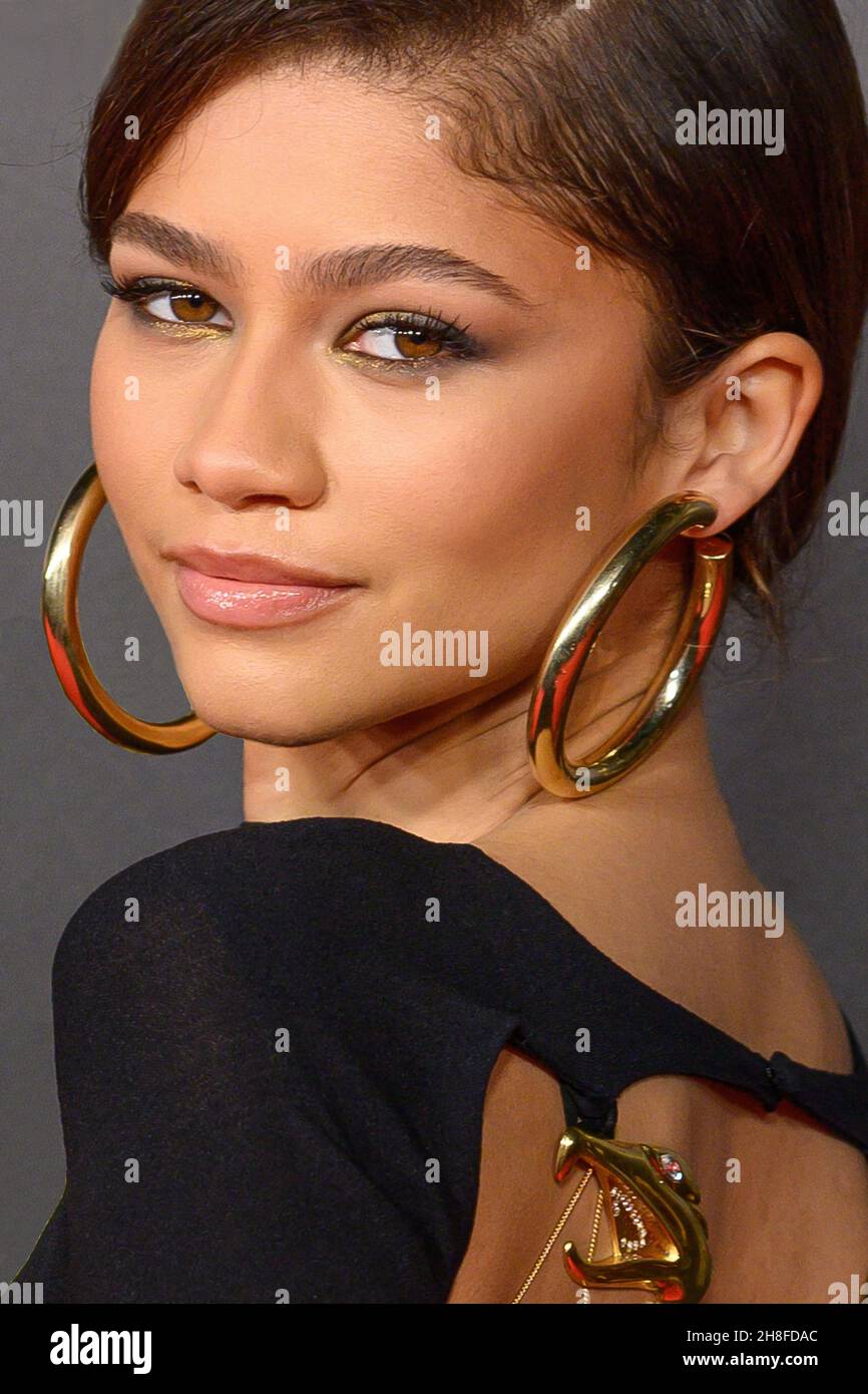 Zendaya Ear Piercings