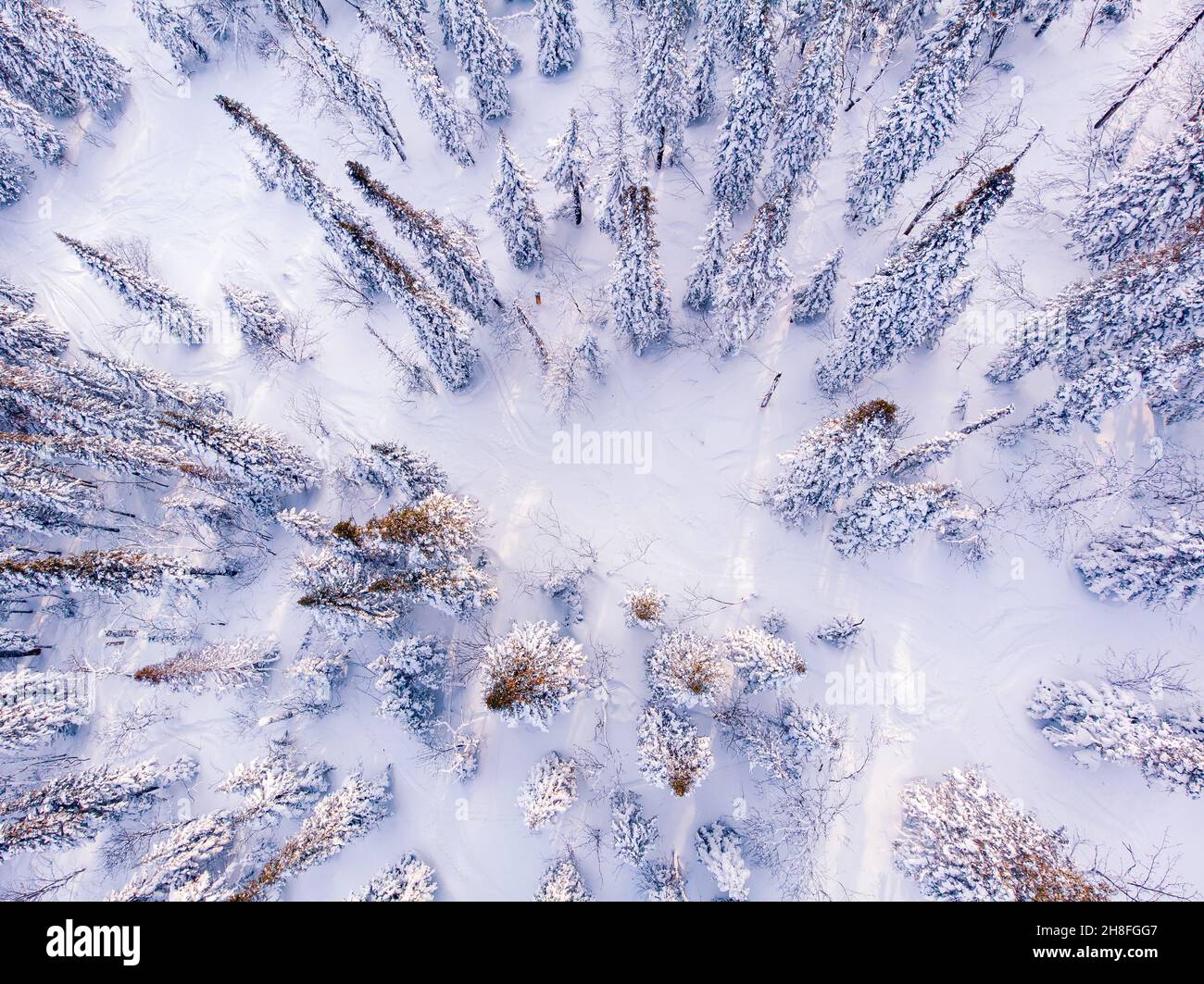 Drone flight above frozen field hi-res stock photography and images - Alamy