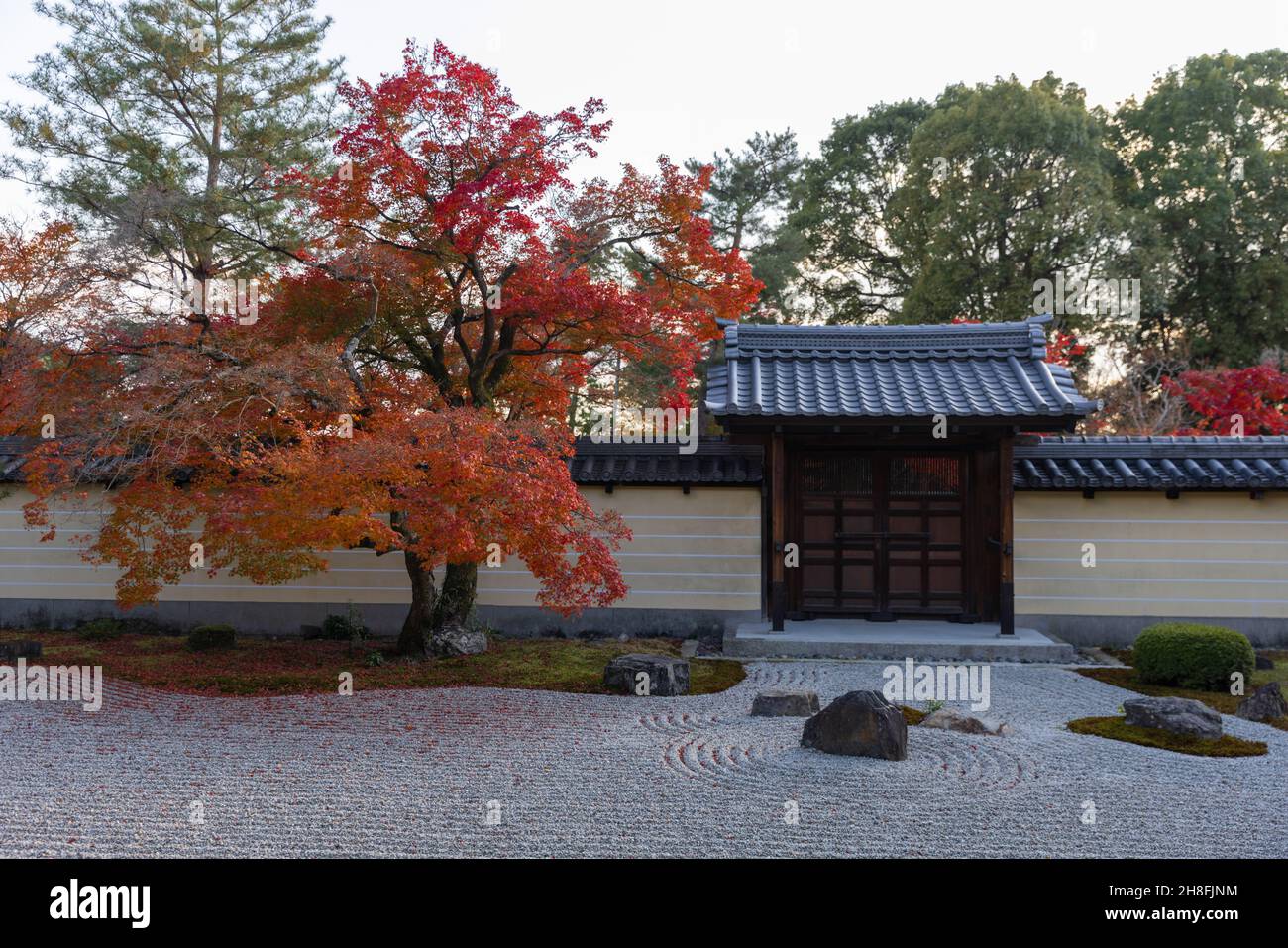 Kyoto, Japan. 26th Nov, 2021. The Zen garden with Momiji tree (Japanese Maple) is seen inside the Toji-in Temple.Toji-in was established in 1341 on the southern slope of Mount Kinugasa by the shogun Ashikaga Takauji. Fifteen shoguns came from the Ashikaga clan making the Toji-in temple rich in historical artifacts and artworks. Credit: SOPA Images Limited/Alamy Live News Stock Photo