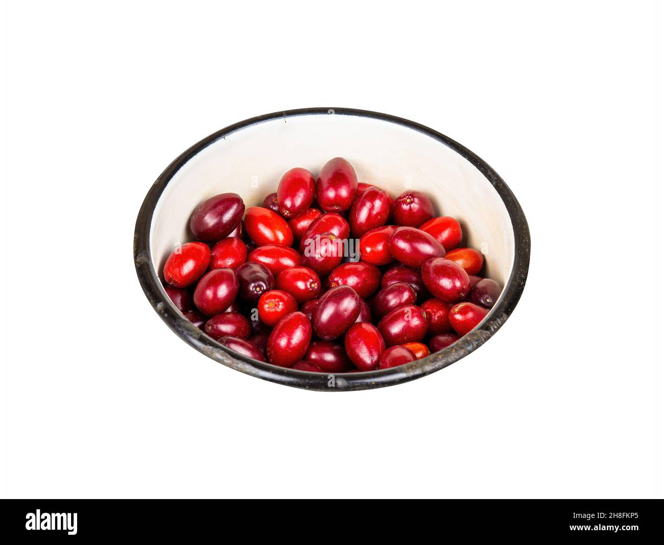 Red berries of a dogwood plant in an iron bowl on a white background