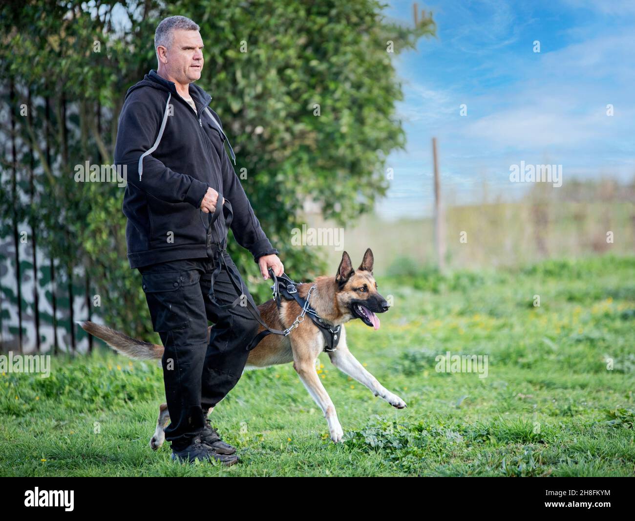 K9 dog harness hi-res stock photography and images - Alamy