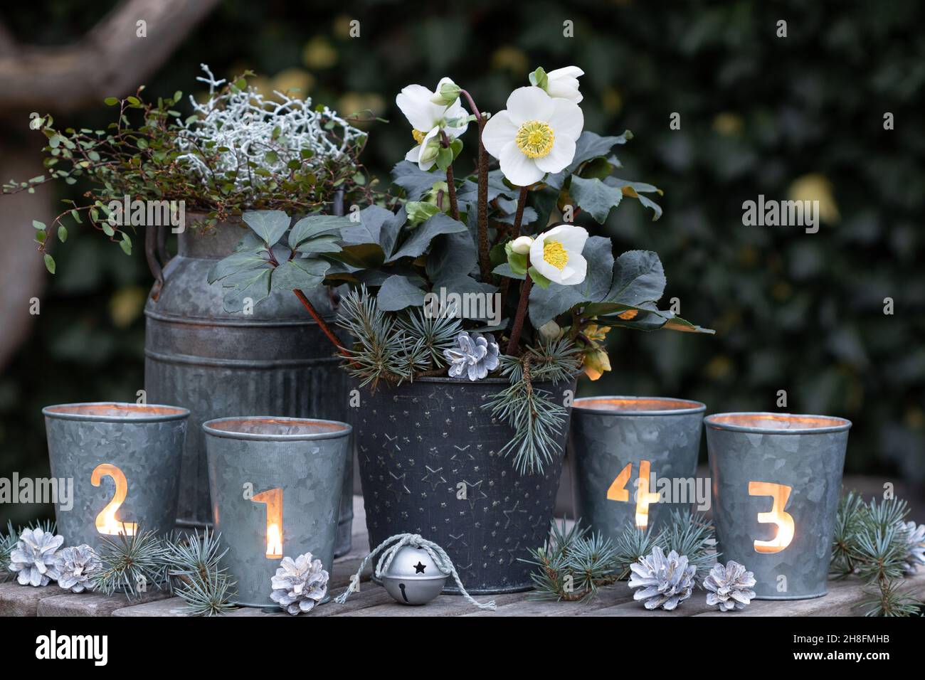 Christmas candle flower pot hi-res stock photography and images - Alamy