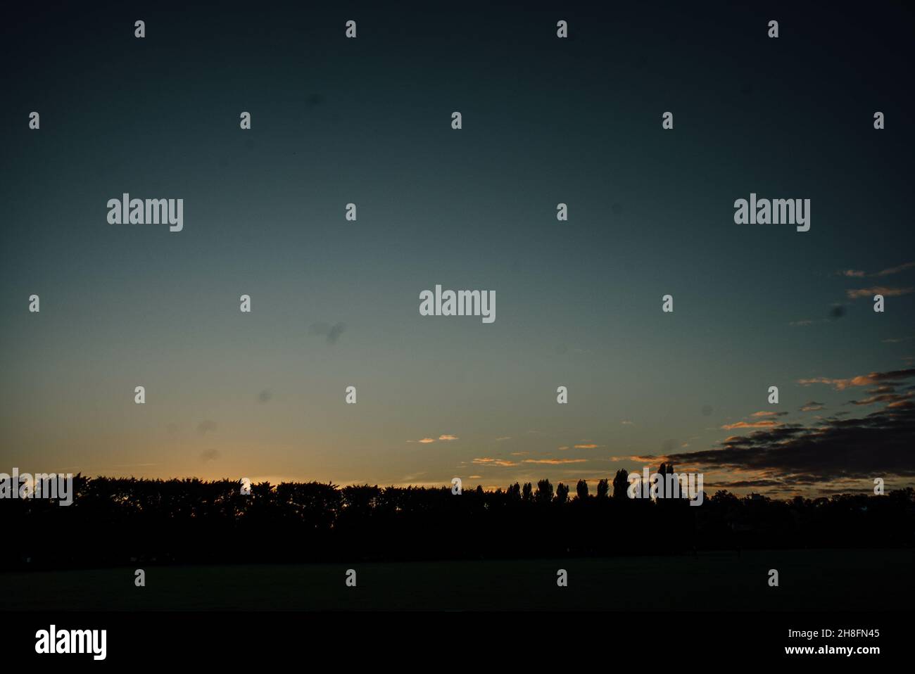 Silhouettes of trees in the park at sunset hi-res stock photography and ...