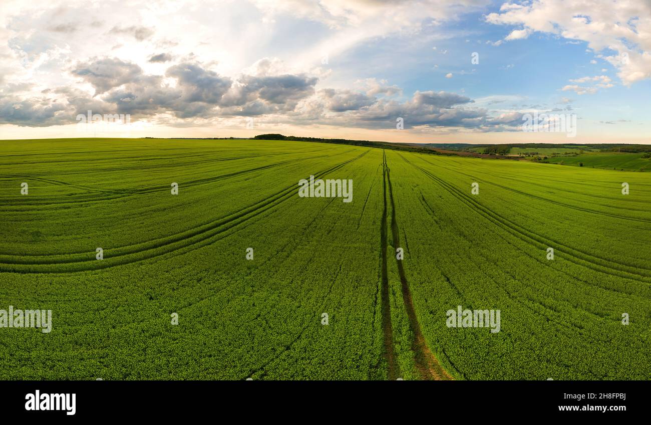 Aerial landscape view of green cultivated agricultural fields with ...