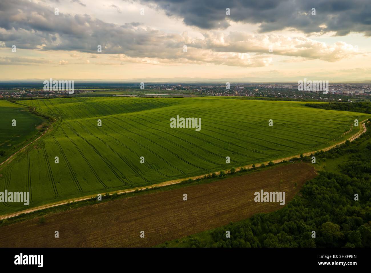 Aerial landscape view of green cultivated agricultural fields with ...