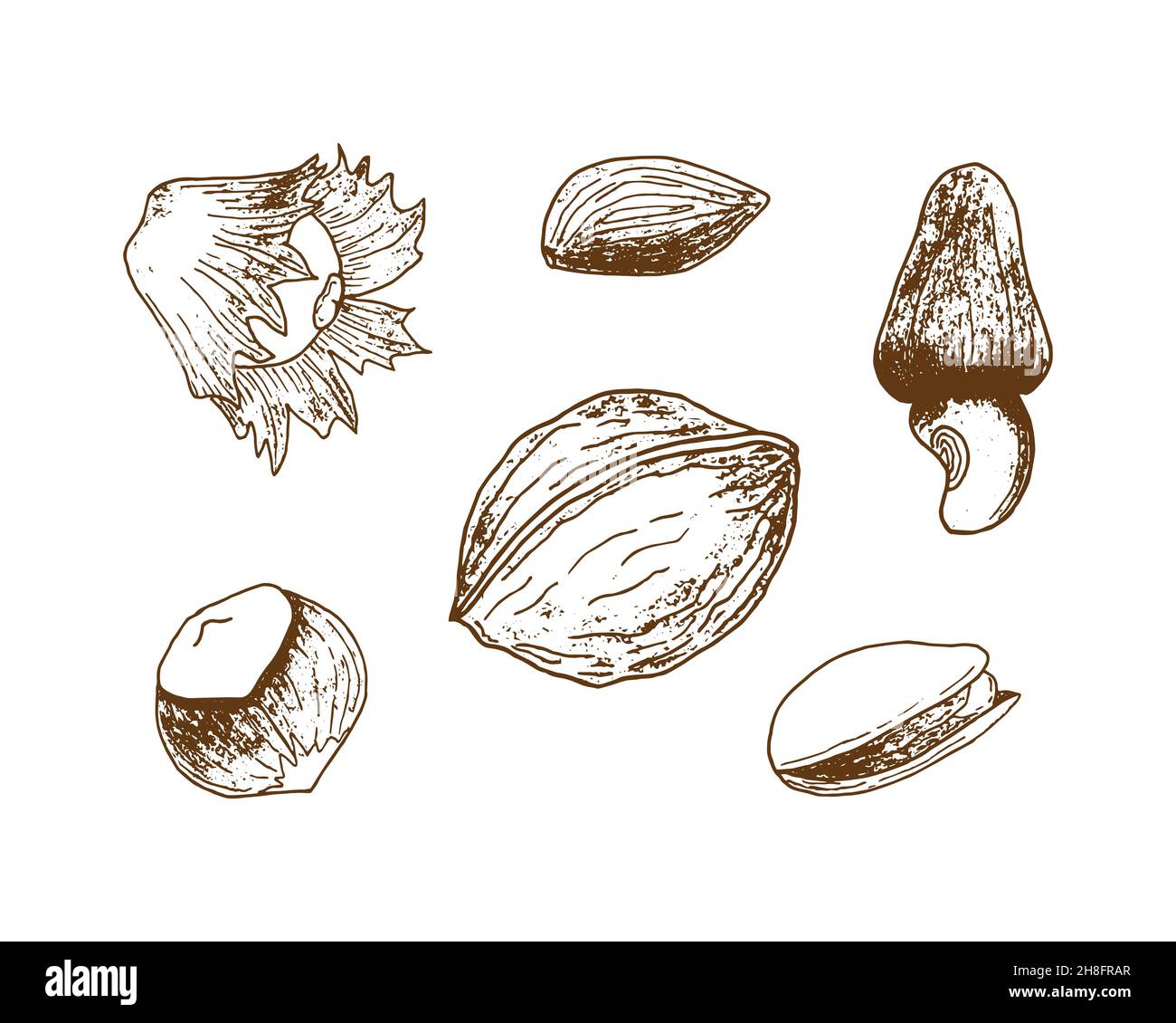 Set of nuts imprint stamp pistachio hazel walnut almonds, hand drawing print, outline, silhouette. Isolated, white background. Vector illustration Stock Vector