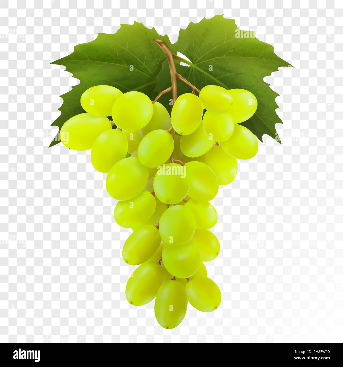 Bunch of yellow or green grapes with vine leaves isolated on ...