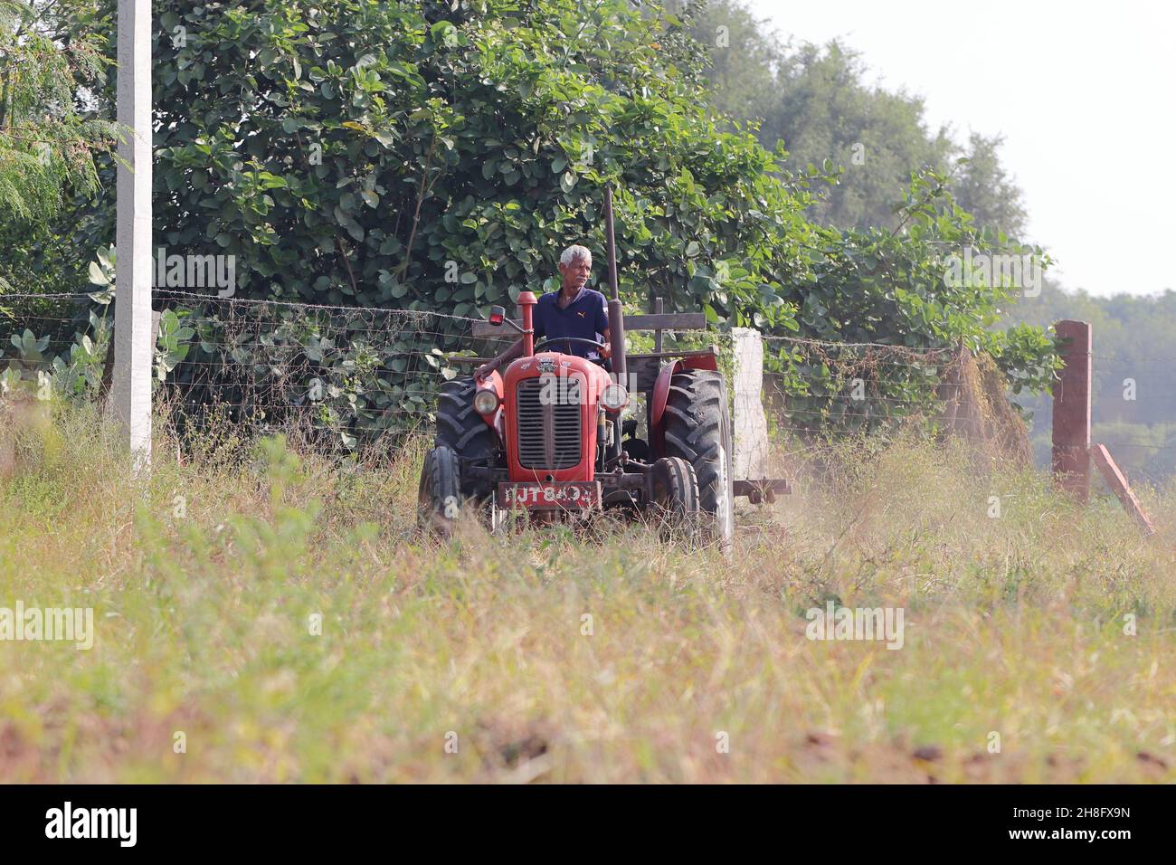 An Indian male laborer farmer plowing the field with the help of a tractor plow Stock Photo