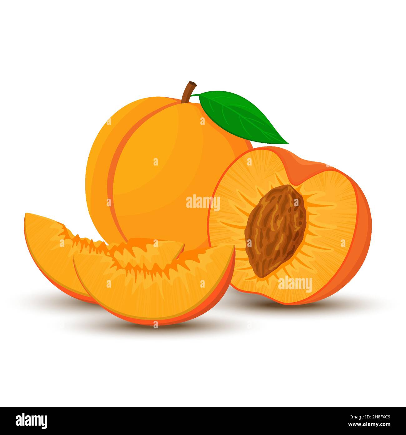 An image of a peach from different directions. Vector illustration in a flat style. Whole, half and sliced peach with bone. Stock Vector