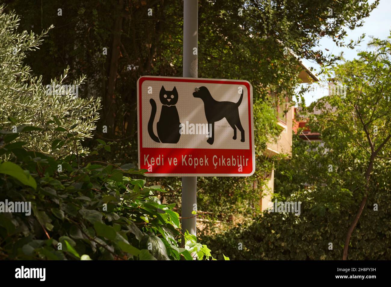 Cat or dog may appear road sign written in Turkish ' kedi ve köpek çıkabilir' Stock Photo