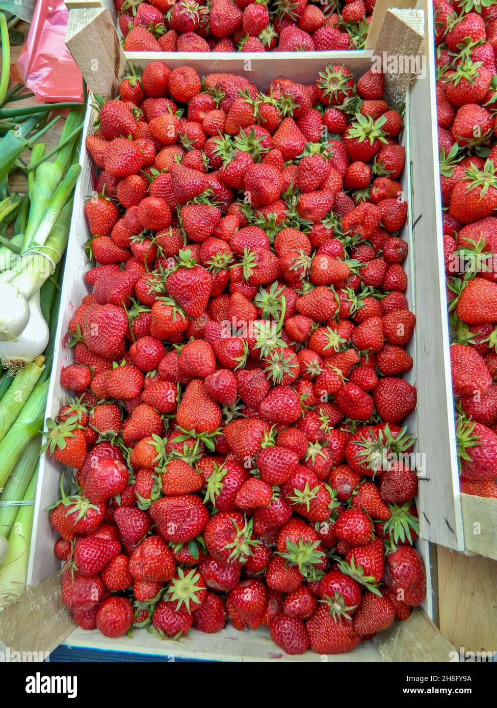 Freshly picked red sweet strawberries on the market are waiting for the customer. Stock Photo