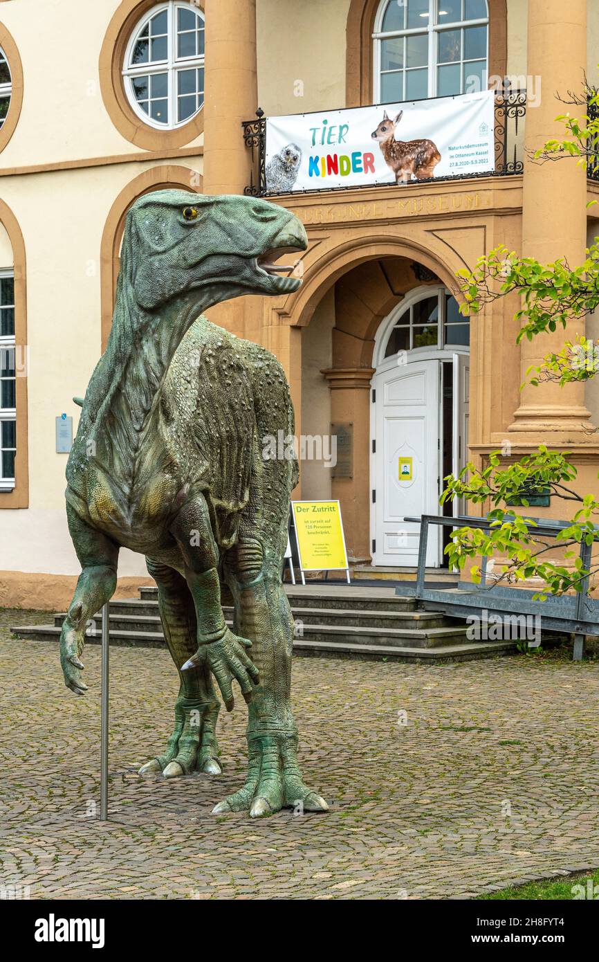 Dinosaur statue in front of the entrance to the Ottoneum Natural History Museum in Kassel. Kassel, Northern Hesse, Germany Stock Photo