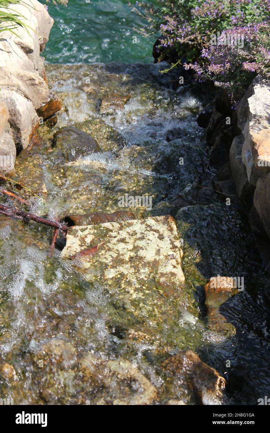 Clean clear water flowing over rocks and stones in the bright summer ...