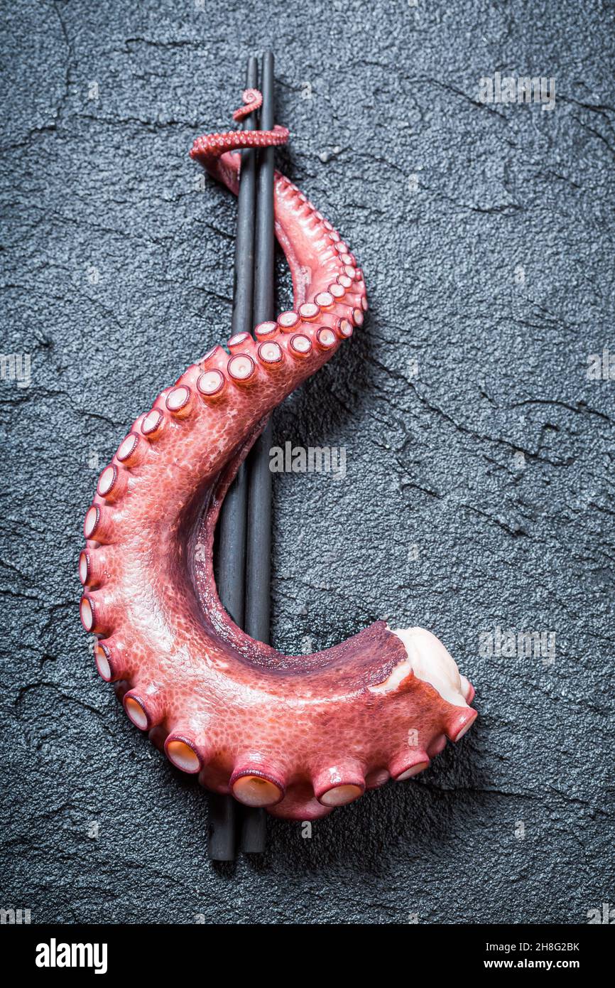 Octopus tentacle wrapped hires stock photography and images Alamy