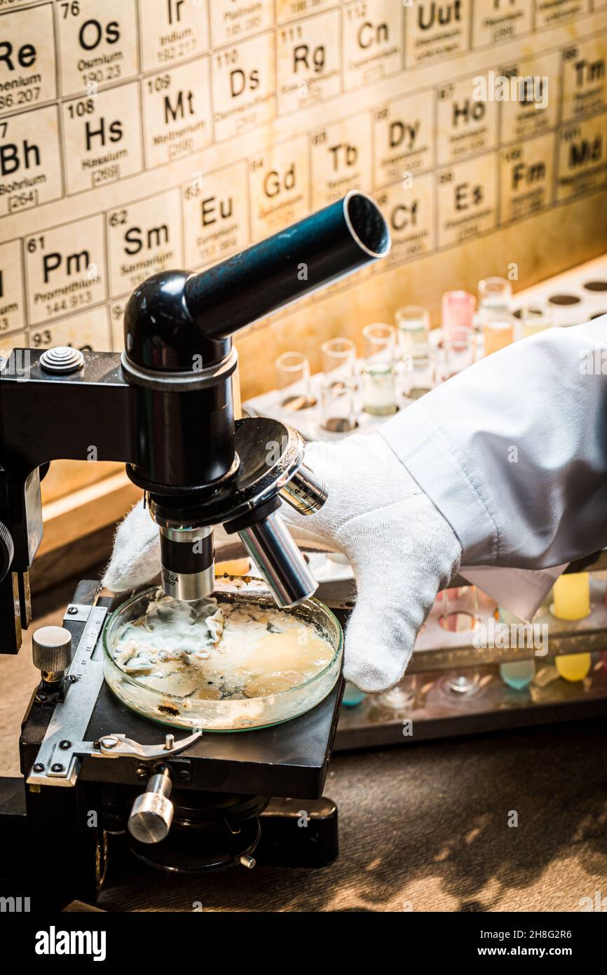 Academic laboratory with microscope and sample. Practical chemistry classes Stock Photo Alamy