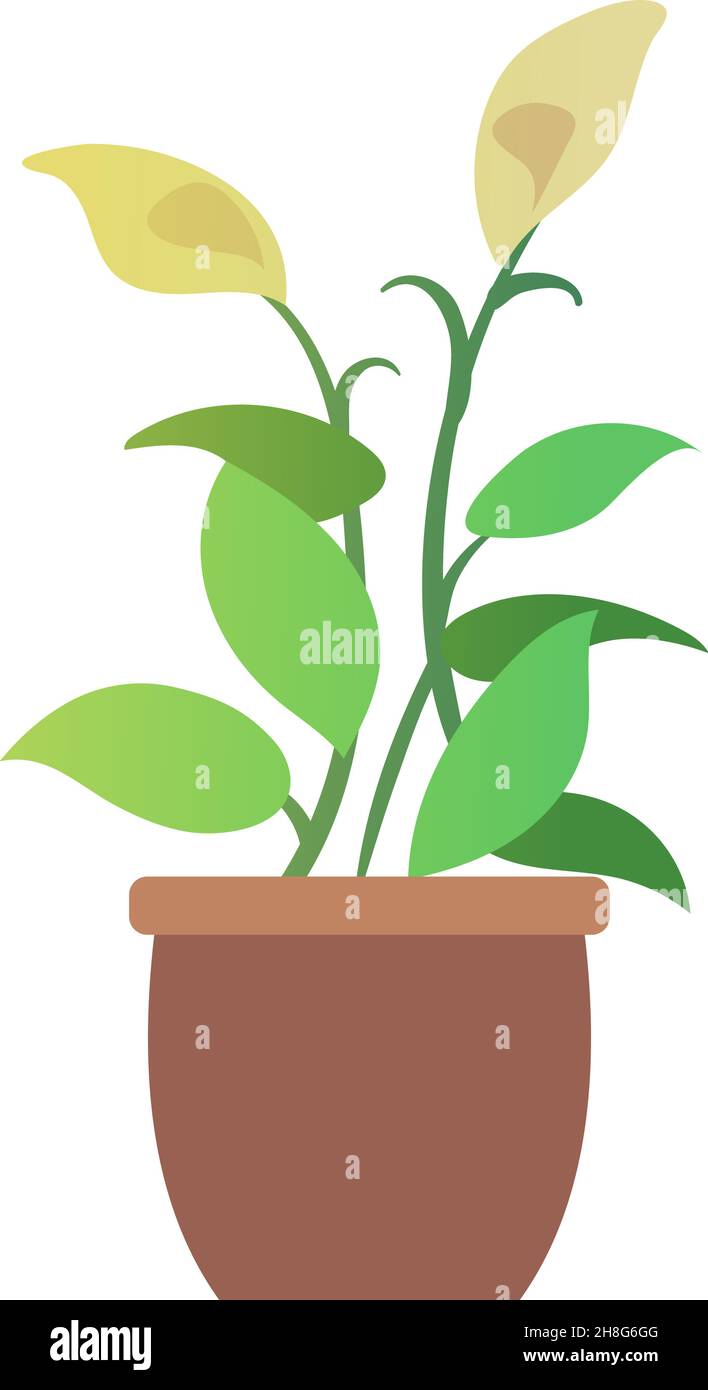 Cartoon flower in pot hi-res stock photography and images - Alamy Cartoon flower in pot hi-res stock photography and images - Alamy